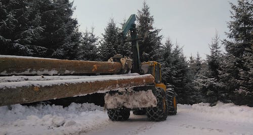 Holztransport Forstbetrieb Halder